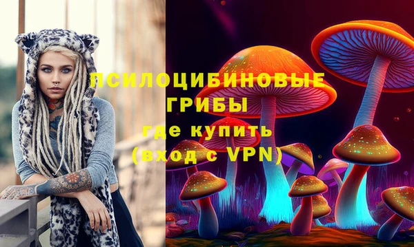 прущая мука Инта