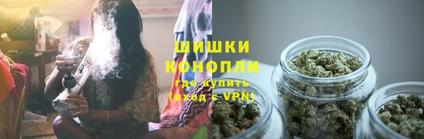 прущая мука Инта