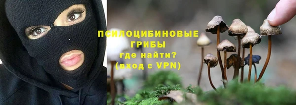 герыч Инсар