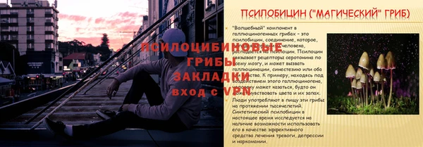 прущая мука Инта