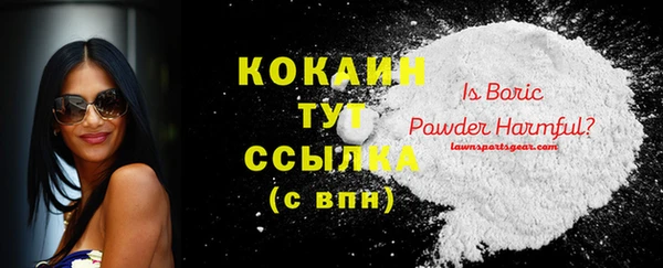 прущая мука Инта