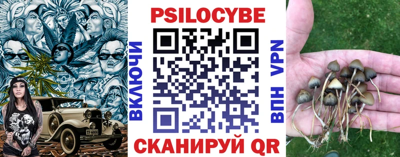 Галлюциногенные грибы Psilocybine cubensis  Купить закладки  Ростов 